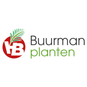 Logo Buurman planten