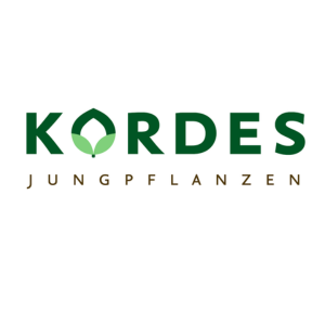 Kordes jungpflanzen logo
